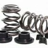 Budget ✔️ BMI 32lb Dual Valve Spring Set For Animal Engine 🛒 -Clone engine shop unnamed file 241
