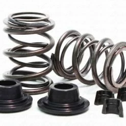 Budget ✔️ BMI 32lb Dual Valve Spring Set For Animal Engine 🛒