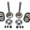 Deals 🎁 BMI Stainless Steel Upgrade Valve Kit For Predator 212cc (Hemi) 🤩 -Clone engine shop unnamed file 95