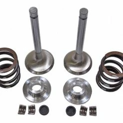 Deals 😀 BMI 36lb Spring Stainless Steel Upgrade Valve Kit - Predator 212cc (Hemi) 🤩