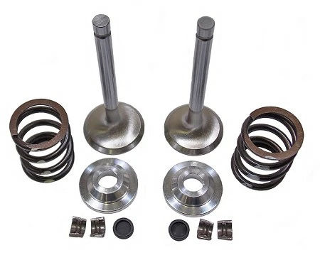 Deals π BMI 36lb Spring Stainless Steel Upgrade Valve Kit - Predator 212cc (Hemi) π€© 3 Deals π BMI 36lb Spring Stainless Steel Upgrade Valve Kit - Predator 212cc (Hemi) π€©